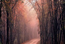 国际足联官方买球平台 -国乒樊振东亲授：反手拧拉秘诀，捏飞盘式发力，新手也能零失误