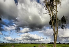 世界杯怎么买球 -再涨2%，12天11阳气势如虹，电子(zi)ETF华宝（515260）即將(jiāng)刷新(xīn)70个月新(xīn)高