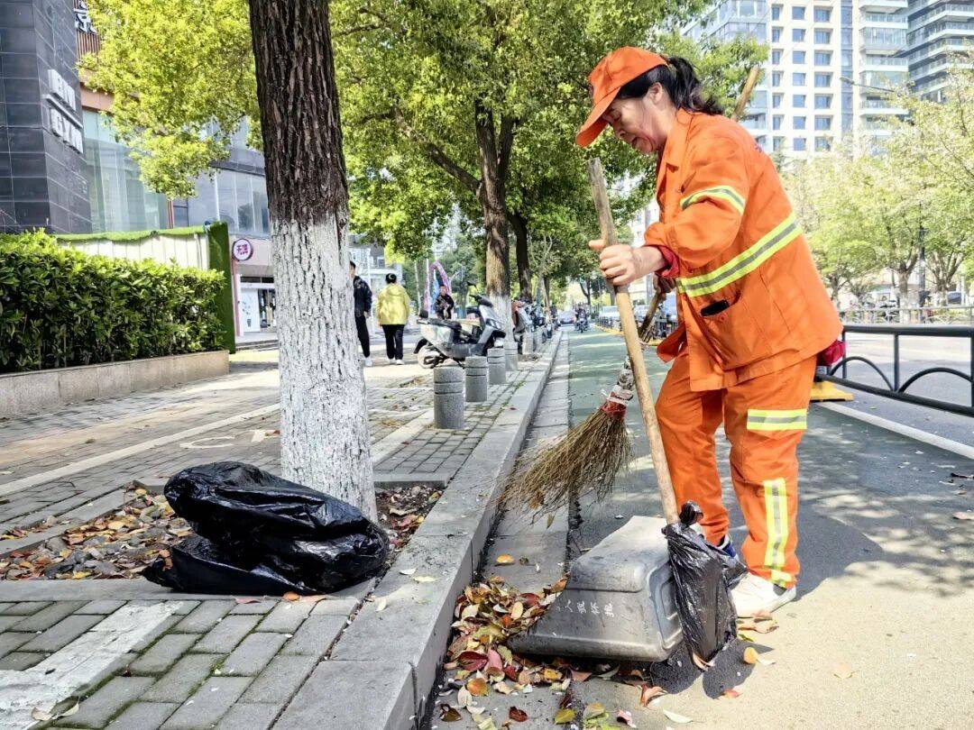 西北湖缓扫落樱，邀您共赴一场“花瓣地毯”的浪漫